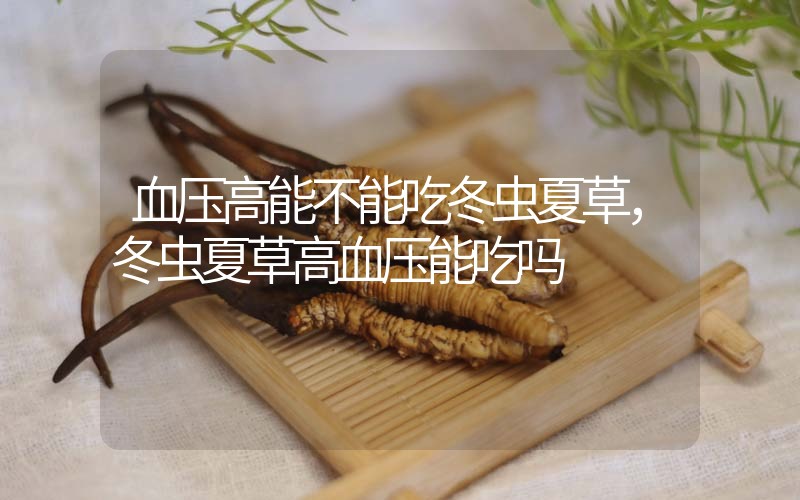 血壓高能不能吃冬蟲(chóng)夏草，冬蟲(chóng)夏草高血壓能吃嗎？