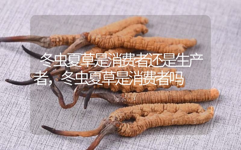 貧血吃冬蟲(chóng)夏草有效果嗎，貧血虛弱者可以用冬蟲(chóng)夏草嗎？