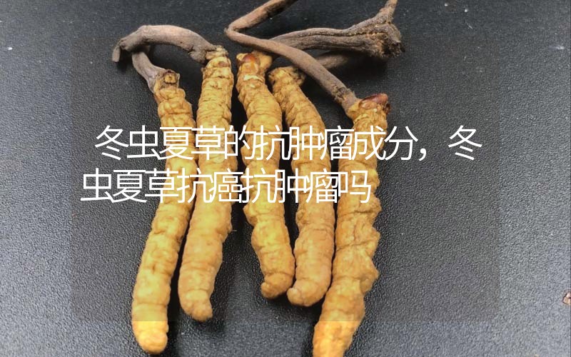 冬蟲夏草的抗腫瘤成分，冬蟲夏草抗癌抗腫瘤嗎？