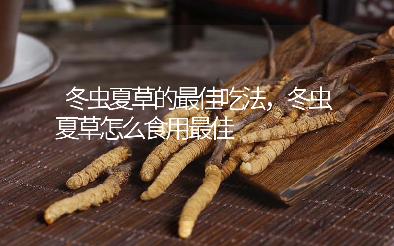 冬蟲夏草的最佳吃法，冬蟲夏草怎么食用最佳