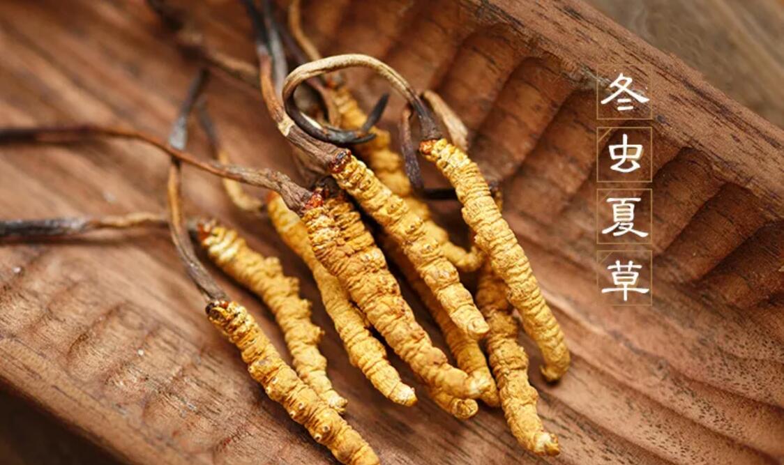 什么時(shí)候吃冬蟲(chóng)夏草作用最好,冬蟲(chóng)夏草何時(shí)吃效果最好