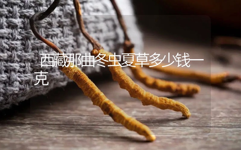 西藏那曲冬蟲夏草多少錢一克？
