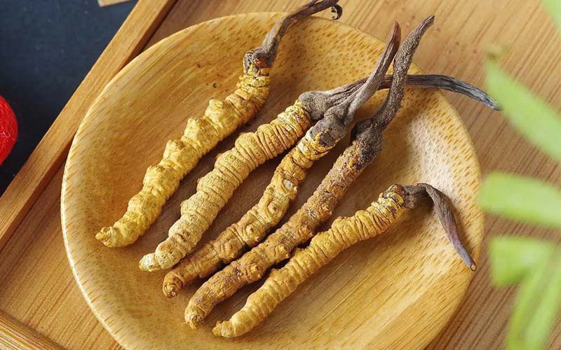 冬蟲夏草作用可以調(diào)節(jié)身體肝臟功能嗎？