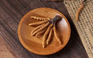 冬蟲夏草如何看品質好壞？