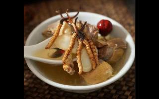 冬蟲(chóng)夏草海參湯怎么做？
