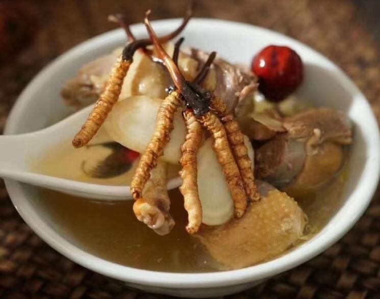 冬蟲(chóng)夏草可以飯后吃嗎？