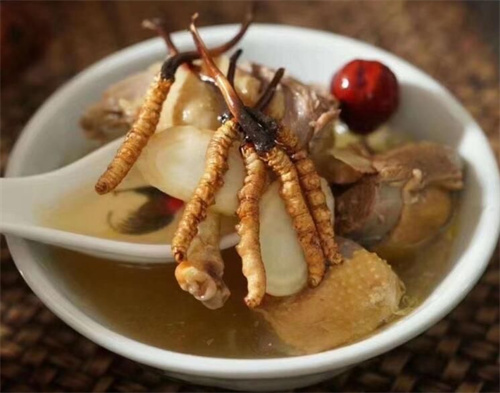 燉冬蟲夏草可以加枸杞嗎？