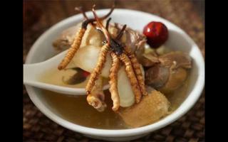 冬蟲(chóng)夏草排骨冬瓜湯