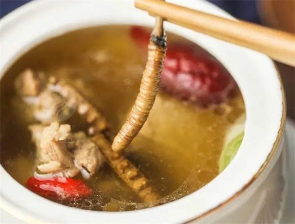 冬蟲(chóng)夏草用法用量 冬蟲(chóng)夏草用法用量的參考