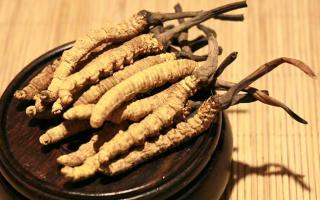 冬蟲夏草的價格一克：為何如此昂貴？