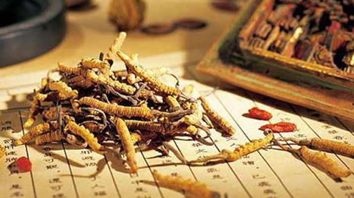 同仁堂健康冬蟲夏草：傳承品質(zhì)，饋贈(zèng)健康