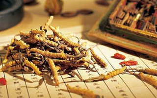同仁堂健康冬蟲夏草：傳承品質(zhì)，饋贈健康