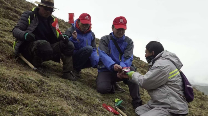 冬蟲夏草：把握最佳采摘季，守護(hù)自然饋贈(zèng)