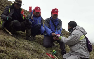冬蟲夏草：把握最佳采摘季，守護(hù)自然饋贈(zèng)