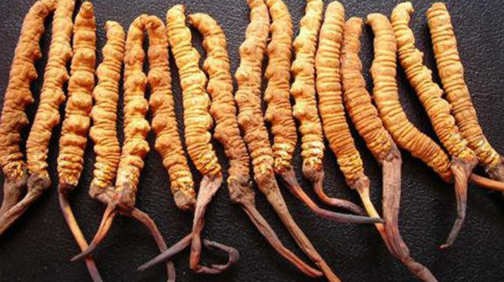 同仁堂<a href=http://www.tgly8188.com/jiage/ target=_blank class=infotextkey>冬蟲夏草價(jià)格</a>解析：品質(zhì)、規(guī)格與市場(chǎng)的交織