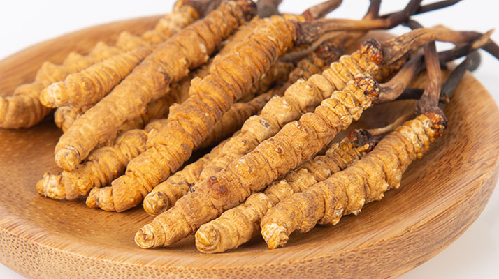 冬蟲夏草，真有那么大效果？