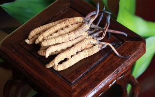 探秘長期收購冬蟲夏草的買家:市場脈絡(luò)中的關(guān)鍵角色