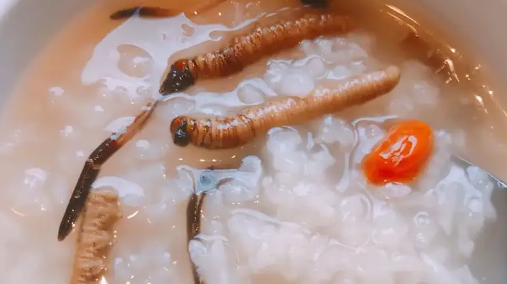 冬蟲(chóng)夏草適合哪些人群？精準(zhǔn)匹配與禁忌提醒