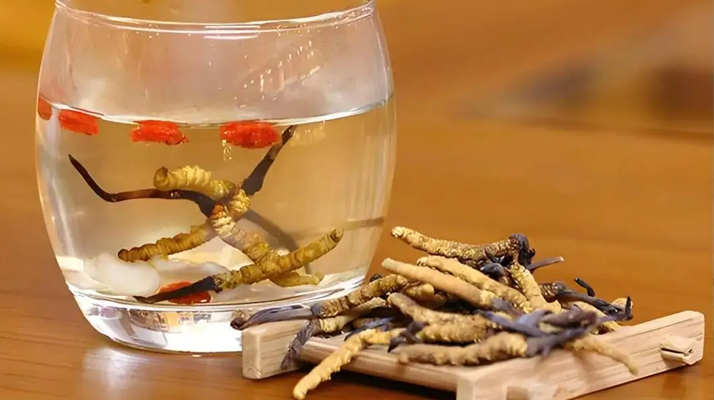 長(zhǎng)期喝冬蟲夏草泡水好嗎？科學(xué)分析與飲用指南