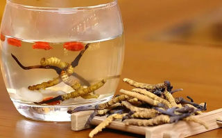 長(zhǎng)期喝冬蟲夏草泡水好嗎？科學(xué)分析與飲用指南