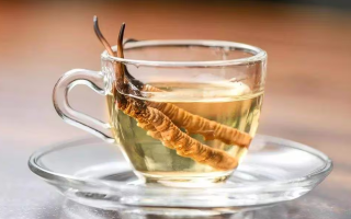 一瓶酒泡多少冬蟲夏草？科學搭配有講究