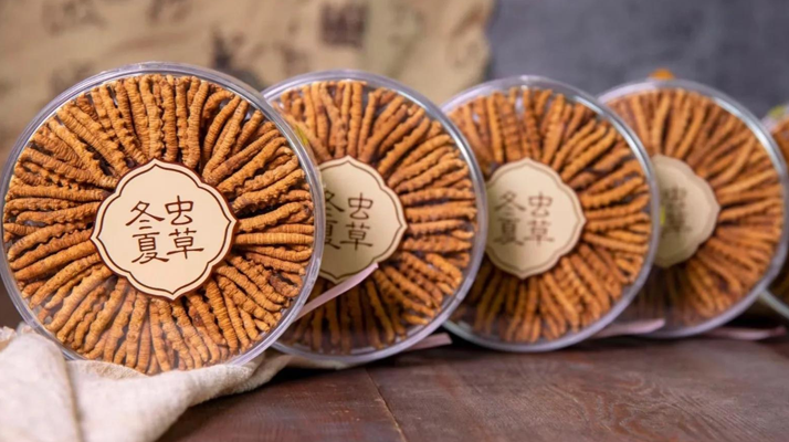 把握黃金時段！冬蟲夏草在這些時候吃效果更佳