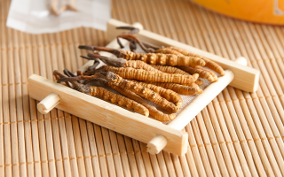 這些藥材形似冬蟲夏草，辨別要點需牢記