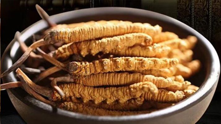 冬蟲夏草效果好不好用？科學(xué)與實踐視角下的全面解析