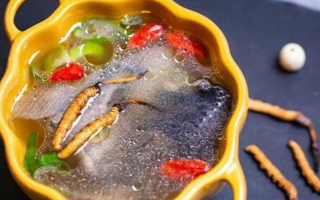 野生冬蟲夏草：副作用風(fēng)險需理性看待