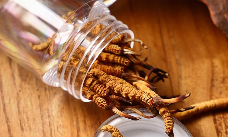 <a href=http://www.tgly8188.com/jiage/ target=_blank class=infotextkey>冬蟲夏草多少錢</a>一條 