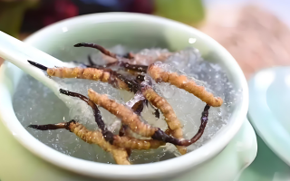 十根冬蟲夏草能泡幾斤酒？泡酒比例與細(xì)節(jié)指南