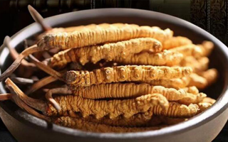 冬蟲夏草掰開后什么樣？從斷面細(xì)節(jié)識破品質(zhì)與真?zhèn)?> </div>
            <div   id=