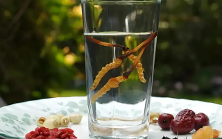 人參配蟲草泡酒，泡多久才好喝？咱跟你說實(shí)在的