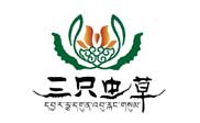 三只蟲(chóng)草